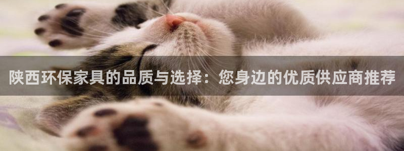 tp钱包百科