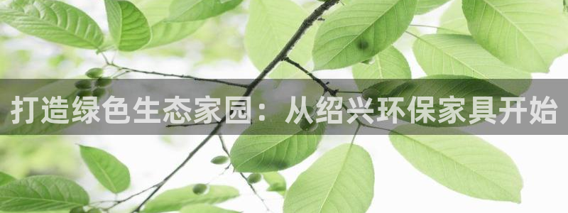 tp钱包安卓下载教程：打造绿色生态家园：从绍兴环保家具开始