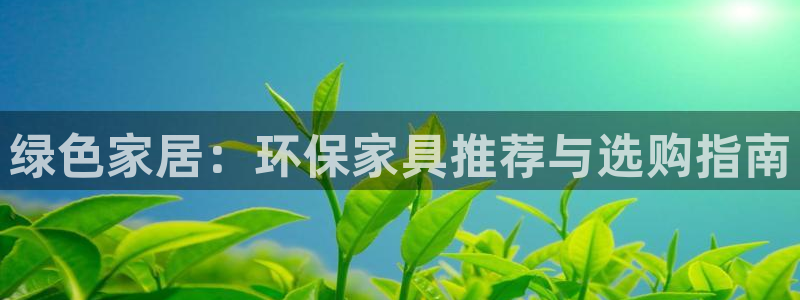 tp钱包 pig：绿色家居：环保家具推荐与选购指南
