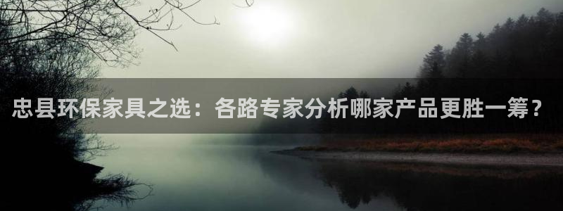tplink软件版本