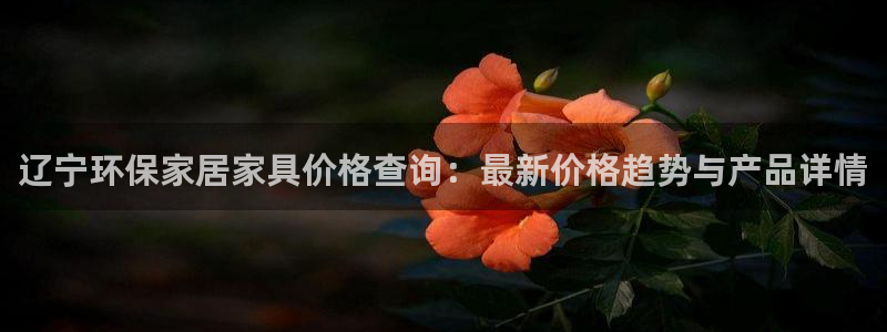 tp-u：辽宁环保家居家具价格查询：最新价格趋势与产品详情