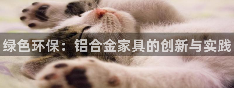 tptp普通下载：绿色环保：铝合金家具的创新与实践