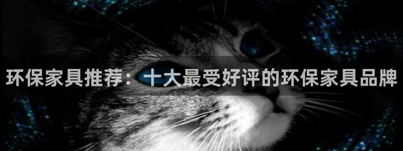 tpt软件：环保家具推荐：十大最受好评的环保家具品牌