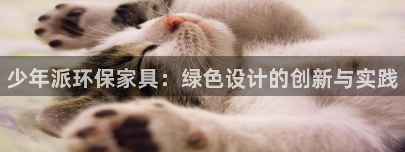 tp-llnkld官网下载：少年派环保家具：绿色设计的创新与