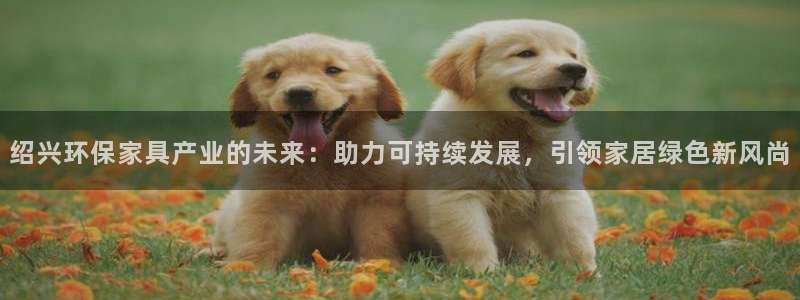 tp钱包安卓版d9白皮书