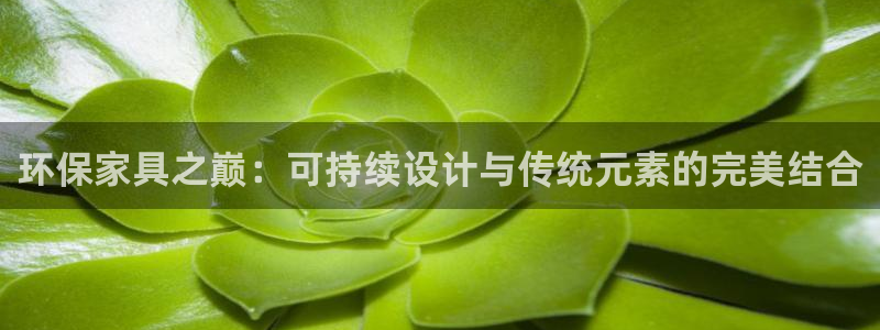 tp钱包 跨链：环保家具之巅：可持续设计与传统元素的完美结合