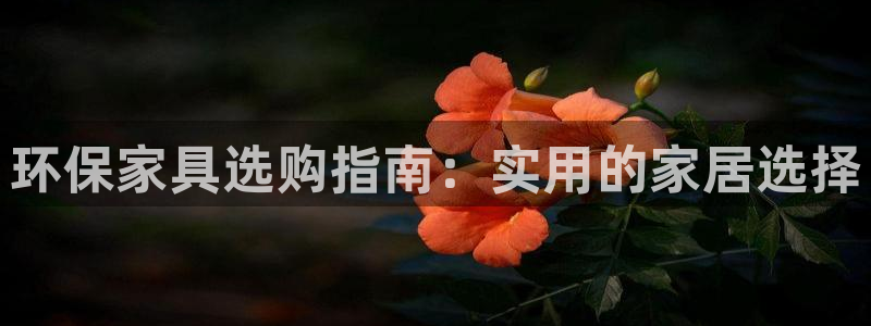 tp钱包ht转bnb：环保家具选购指南：实用的家居选择