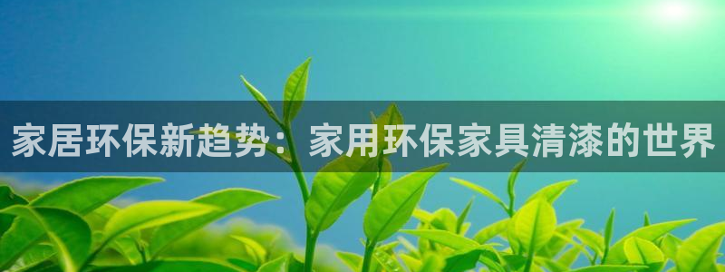 tp钱包安卓易下载：家居环保新趋势：家用环保家具清漆的世界