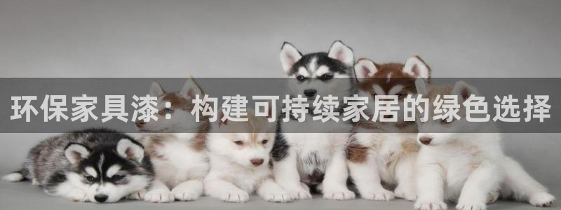 TP钱包App图标