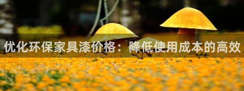 tp钱包安全吗会被骗吗