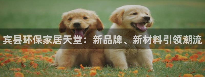 tp钱包App为啥找不到人工客服：宾县环保家居天堂：新品牌、