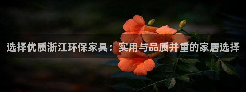 tp和imtoken：选择优质浙江环保家具：实用与品质并重的