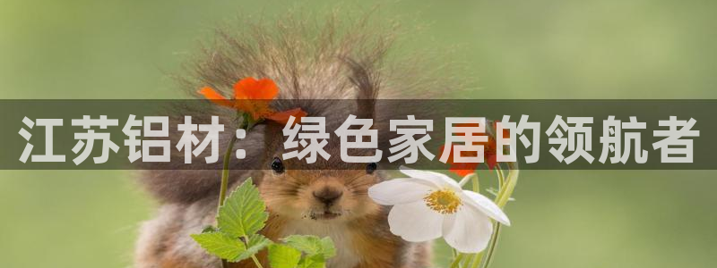 tp钱包 狗币：江苏铝材：绿色家居的领航者