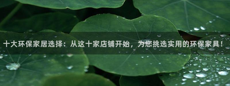 tplink软件版本：十大环保家居选择：从这十家店铺开始，为